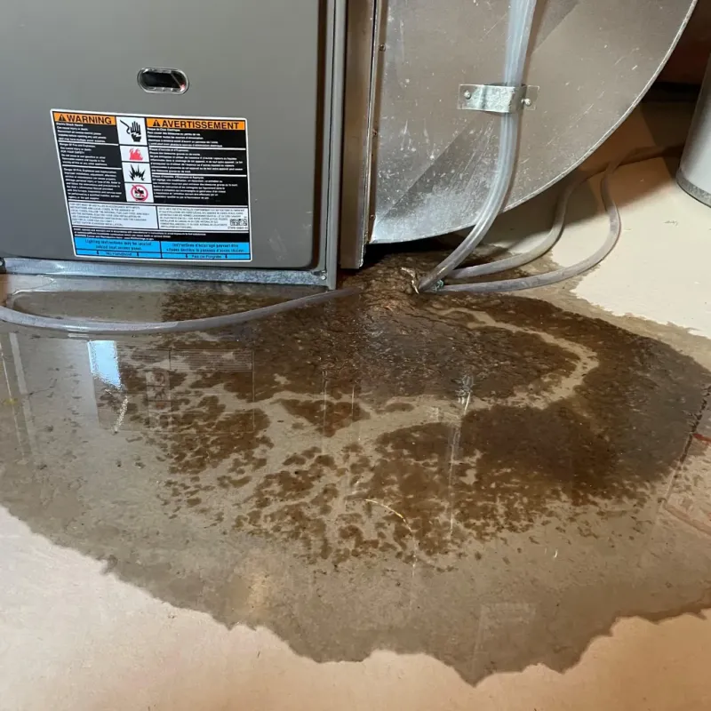 Appliance Leak Cleanup in Thomas County, NE